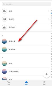 克隆网站推荐安卓系统吗,专业推荐与深度解析